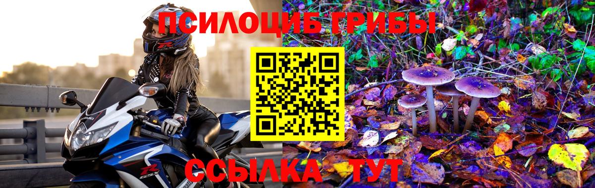 Черняховск  Галлюциногенные грибы ЛСД  Псилоцибиновые грибы мухоморы  Вход с VPN 